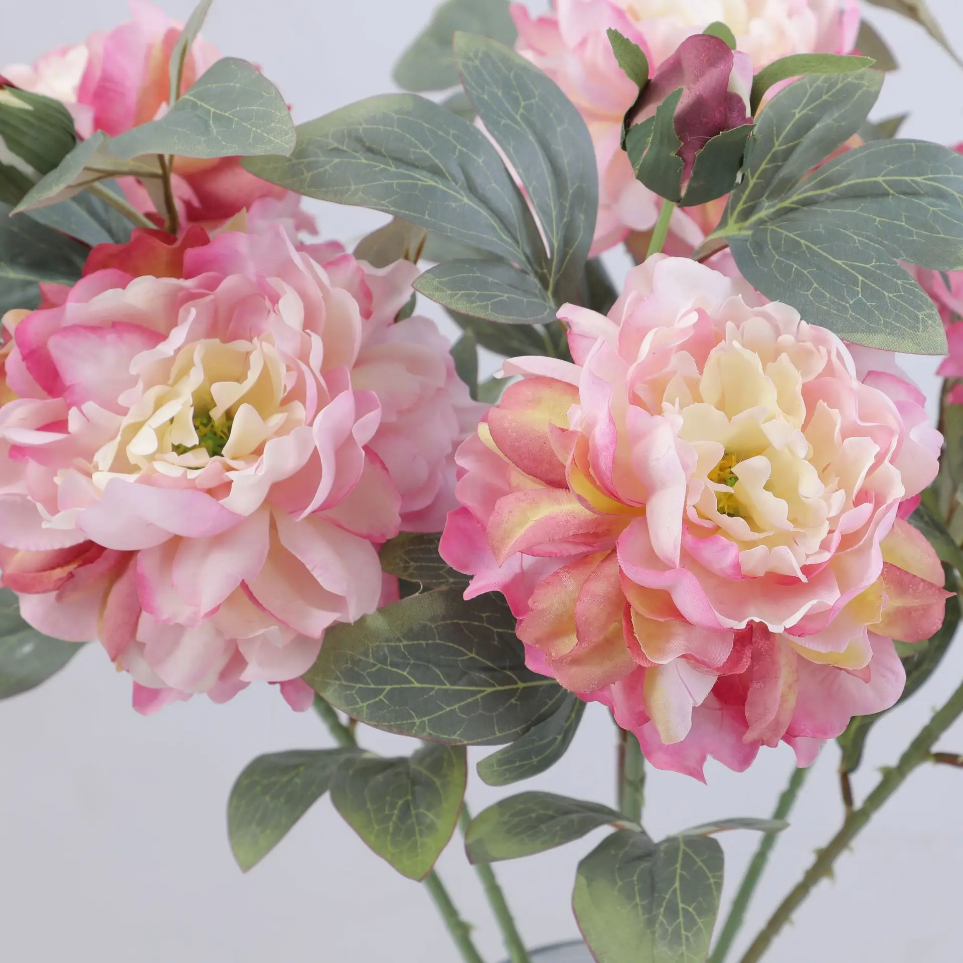 Artificial Peony Flower Single - Flower Wall Panel のレビューと価格