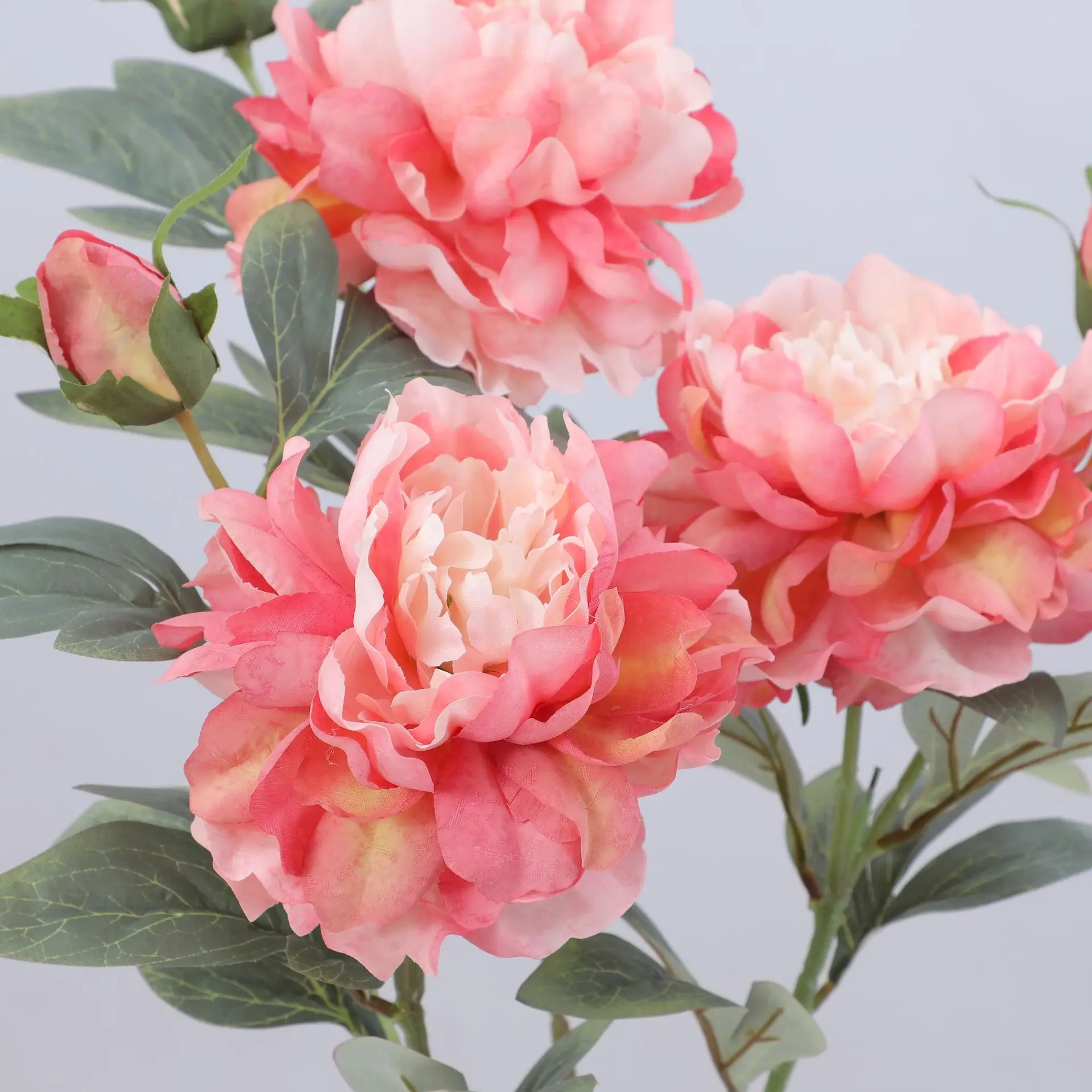 Artificial Peony Flower Single - Flower Wall Panel のレビューと価格