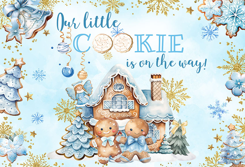 Christmas Gingerbread Baby Sho - Dessert Table Backdrop のレビューと価格