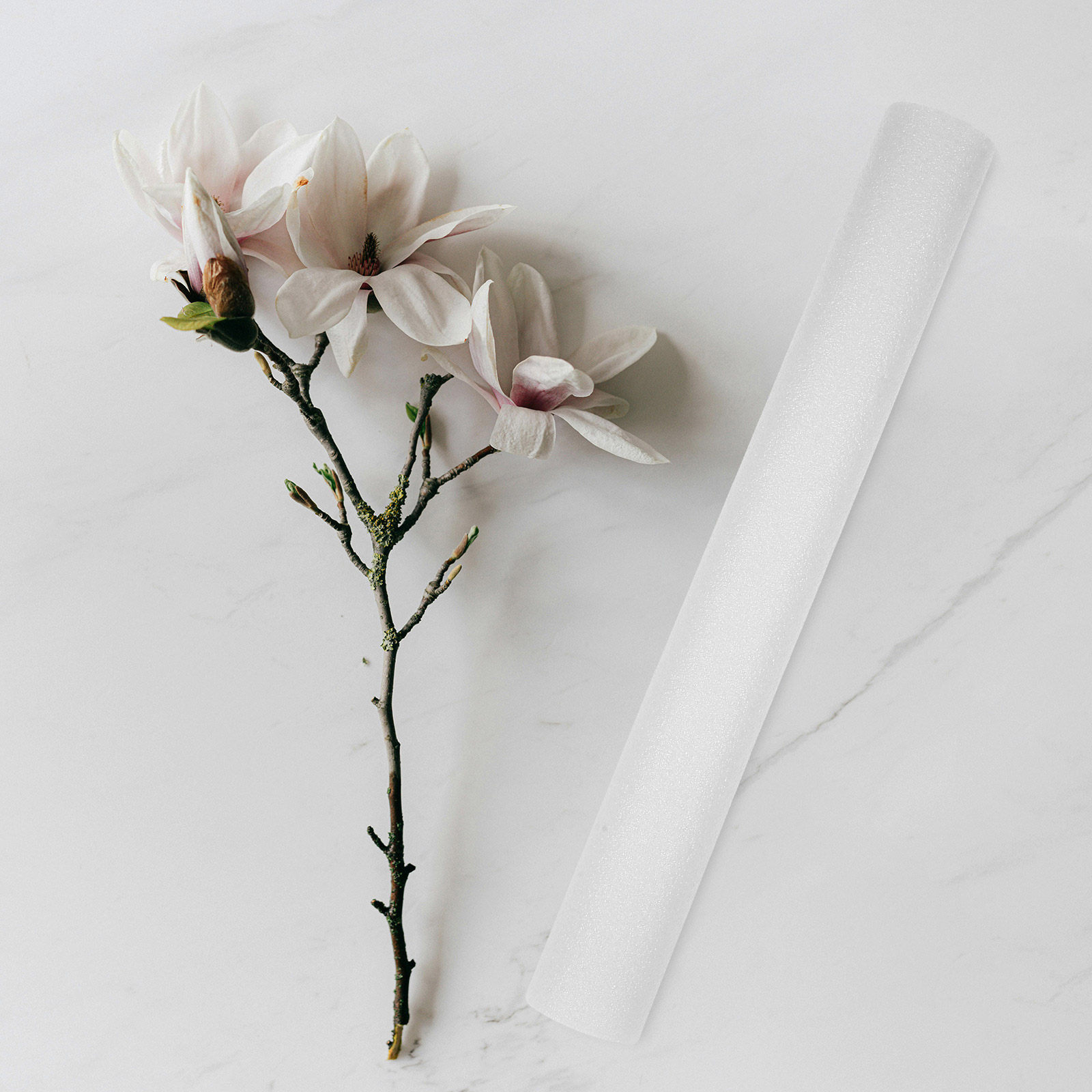 7Pcs Flower Arranging Foam Sti - Centerpiece Stick のレビューと価格